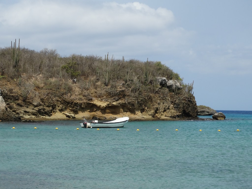Hoe het schrijven over mijn opa een nieuwe wereld&nbsp;opende